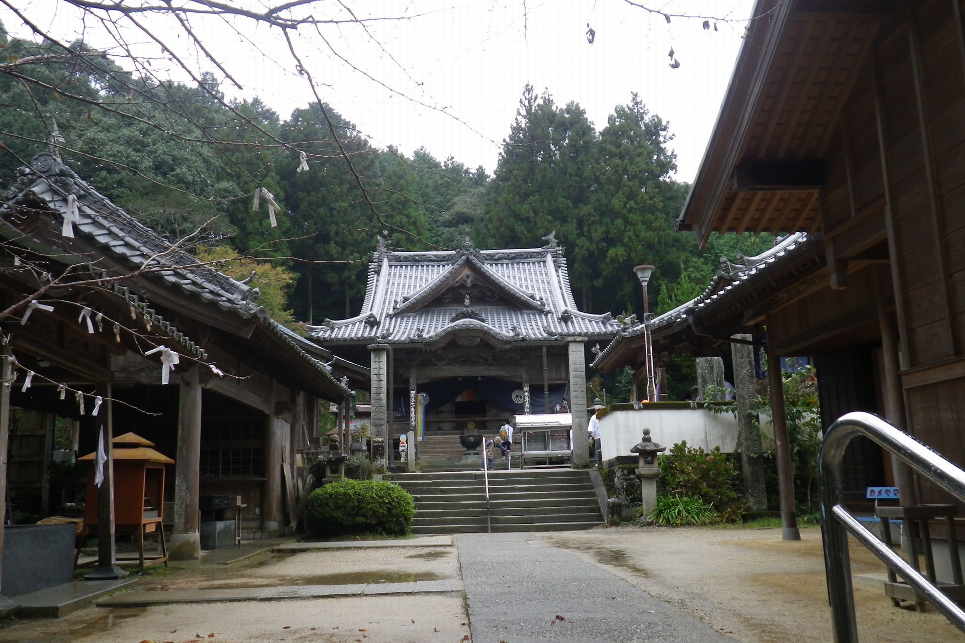 藤井寺
